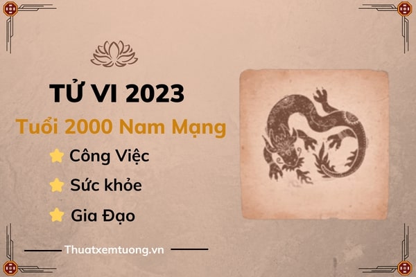 tu-vi-tuoi-canh-thin-nam-2023-nam-mang-2000