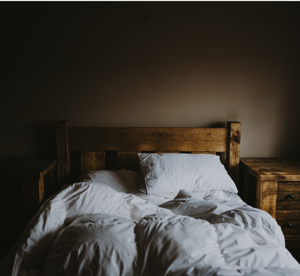 bed bugs