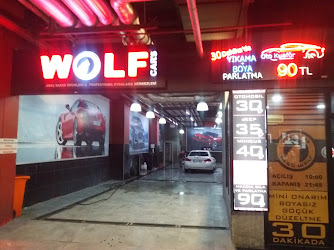 Wolf Car's