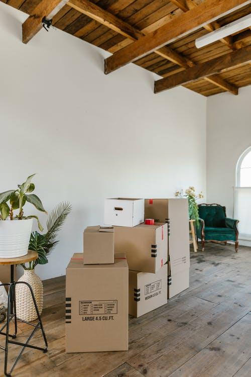 Free Green Potted Plant Beside Brown Cardboard Boxes Stock Photo