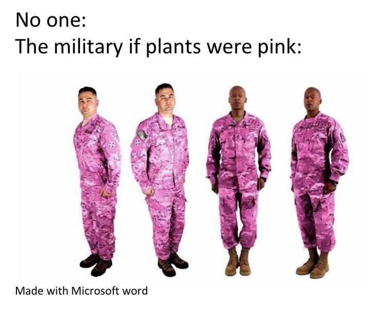 These 11 memes perfectly describe military uniforms
