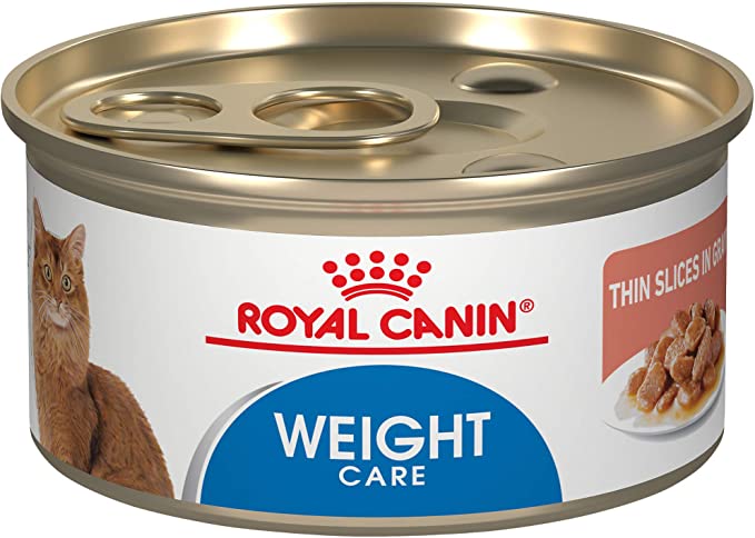 top-5-best-cat-food-for-weight-loss-pet-care-advisors
