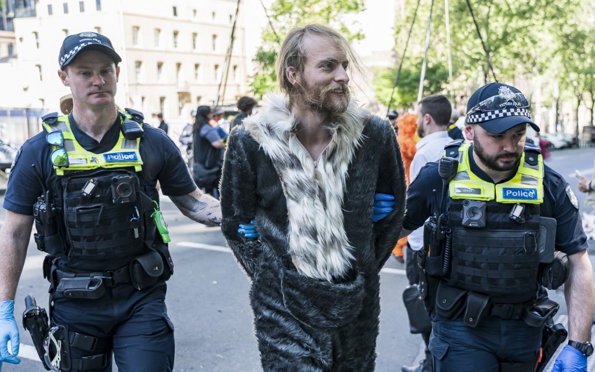 A smiling rebel in a koala suit is led away by police