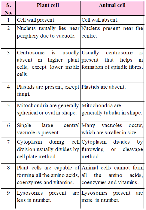 Cell : The Unit of Life | Biology Notes for NEET/AIIMS/JIPMER