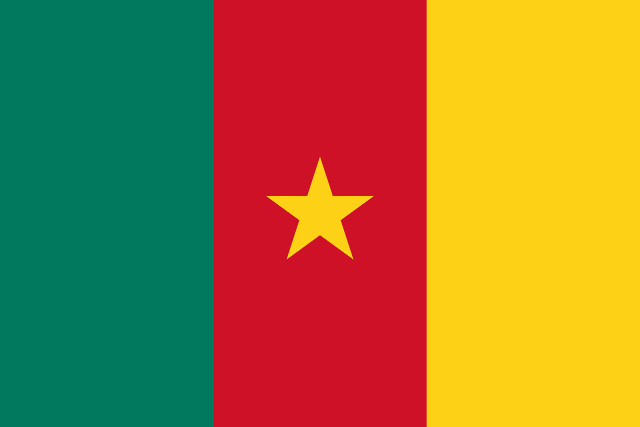 Image result for cameroon flag