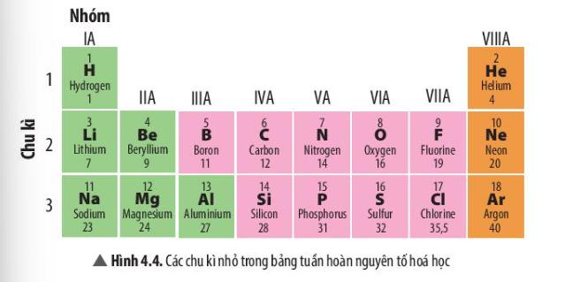 Câu hỏi trang 26 SGK TN&XH 7 CTST tập 1