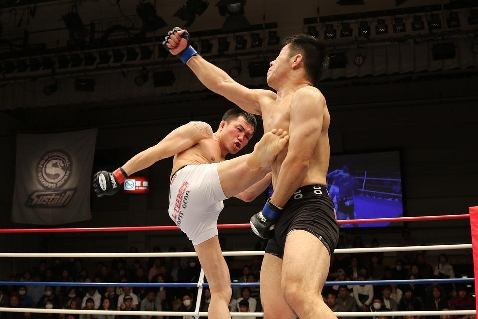 Mixed Martial Arts, Sport, Kick, Shooto, Ring, Japan