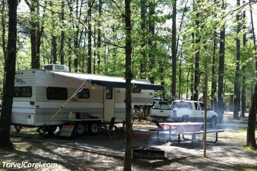 Camping In The Cane Creek State Park