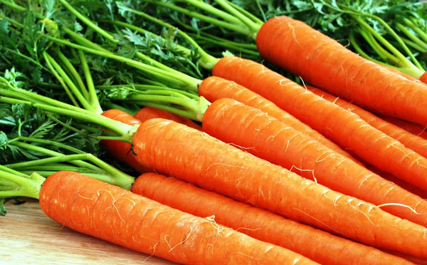 Морковь.jpg