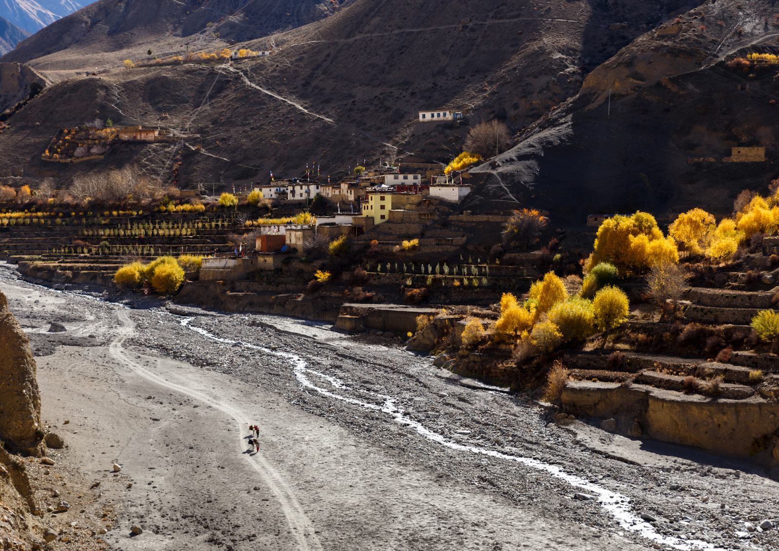 manaslu solo trek