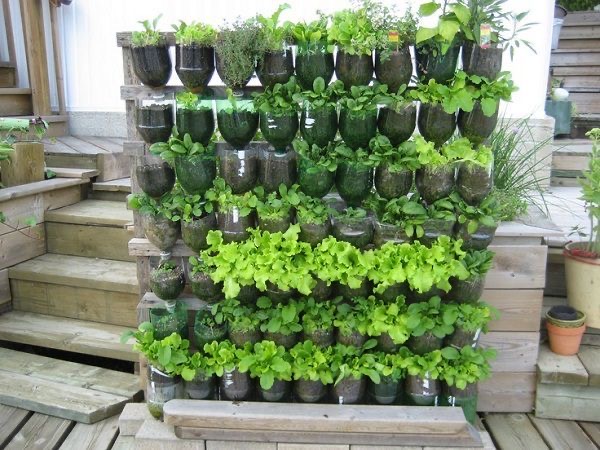 Don't forget to make recycling part of the process for your homegrown vegetables. Use your creativity to create an eco-friendly planter from old plastic containers.