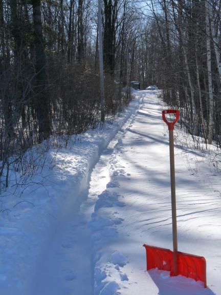 https://upload.wikimedia.org/wikipedia/commons/9/93/Snow_shovelling.jpg