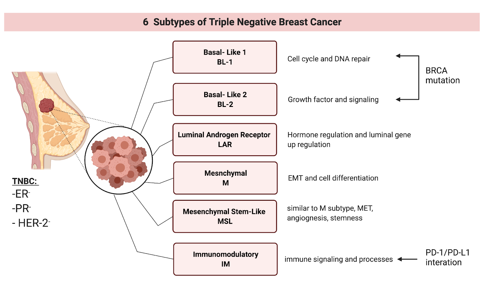 optimizing-triple-negative-breast-cancer-diet-key-nutritional-strategies