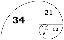 Image result for what is fibonacci sequence