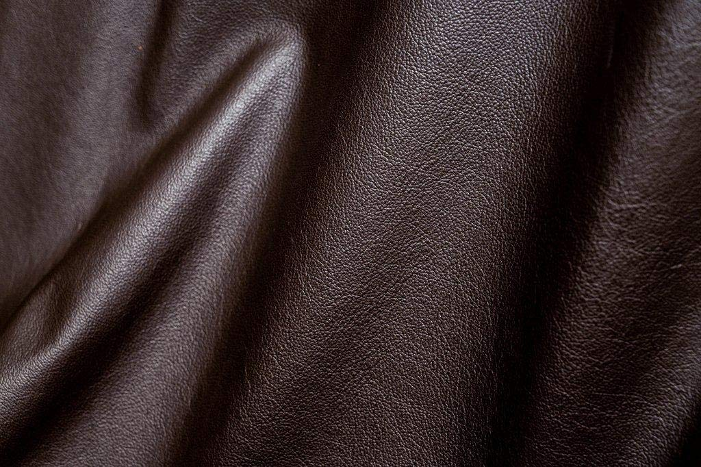 Surface of Pigmented leather 