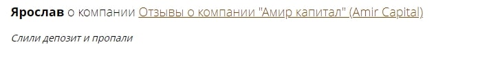 Amir Capital: отзывы вкладчиков, обзор маркетинга