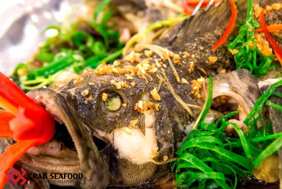 Ăn cá mú có tốt không? Tìm hiểu về cá mú và những lợi ích tuyệt vời - Crab Seafood