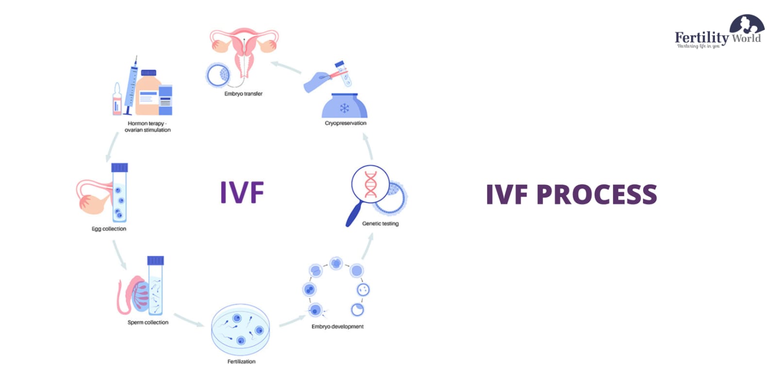 What is the process of IVF step by step?
