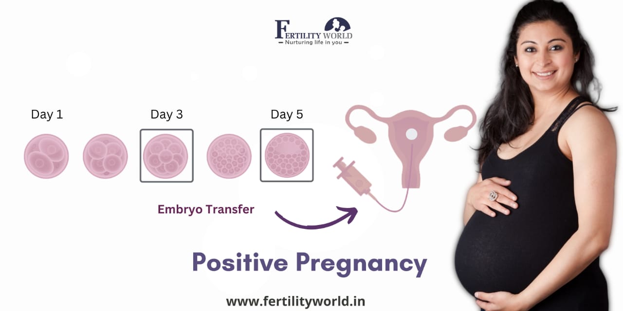 Surrogacy Success Rate