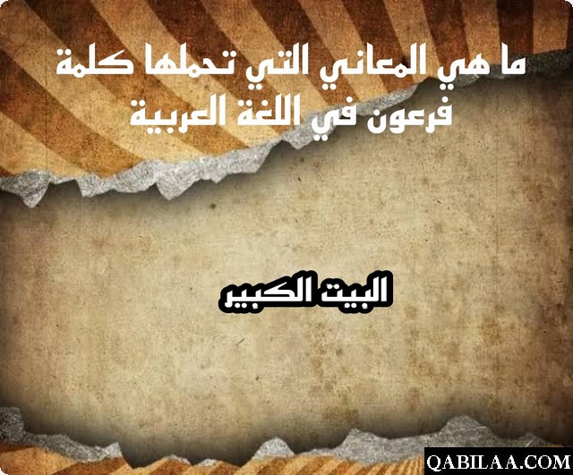 أسئلة اللغة العربية