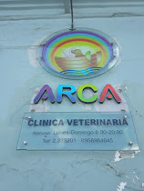Fundación ARCA.