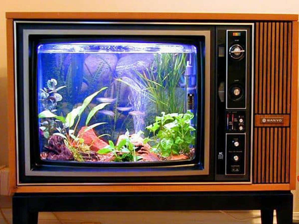 aquarium-berbentuk-tv