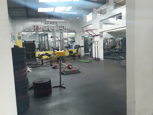 Gimnasio Simon - Lince