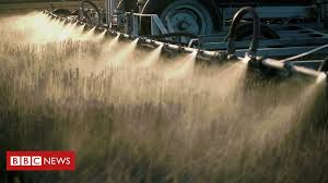 AGROTÓXICOS: PERIGOSOS E ILEGAIS