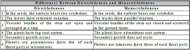 Diversity,in,living,organisms,9th,Class,Science,Cbse,ncert
