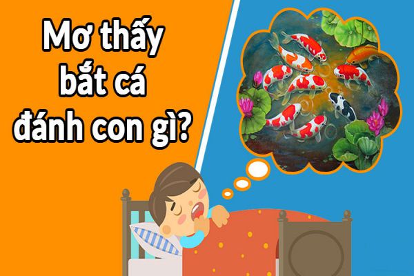 Nằm mơ thấy cá thì nên đánh những con gì?