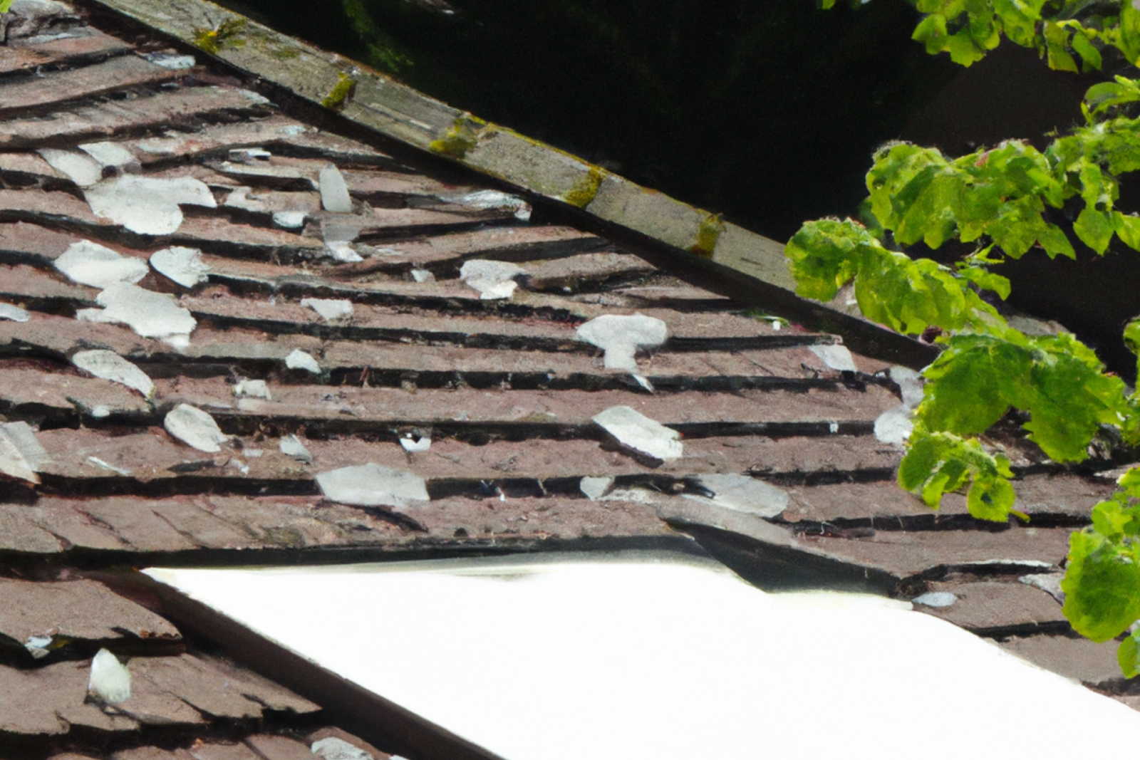 You can choose to DIY roof repair for minor damages caused by hail.