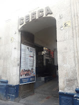 CEO Luis Pasteur CESCA Arequipa