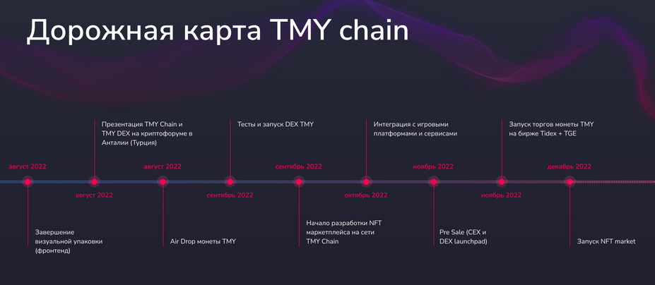 Добавочная стоимость токена или почему TMY обречен на рост