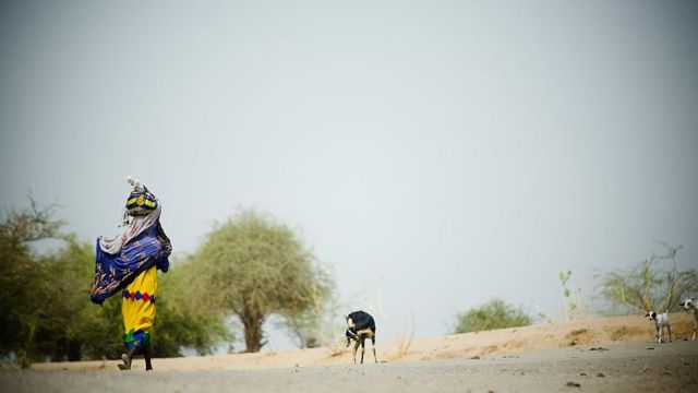 A woman walks near the diminishing waters of Lake Chad in 2007 qzeiqkdiqukiqtzvls