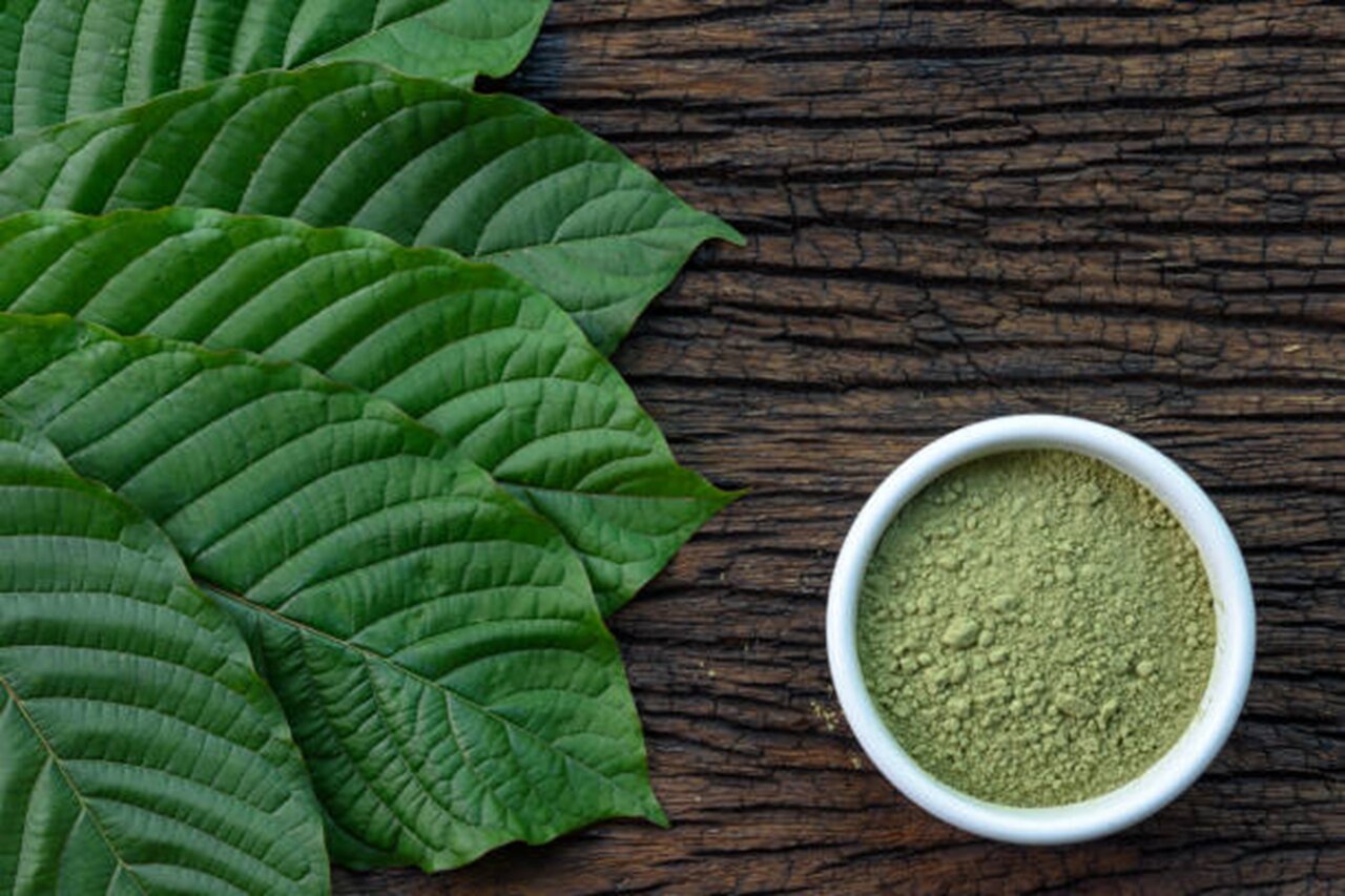 Best Kratom Vendors 2021: Top 5 Most Reliable Places to Buy Kratom Best  Kratom Vendors 2021: Top 5 Most Reliable Places to Buy Kratom