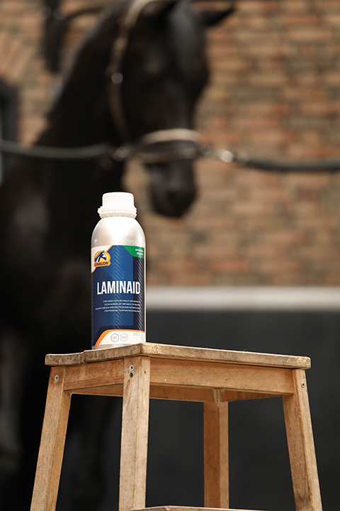 laminaid horse supplement