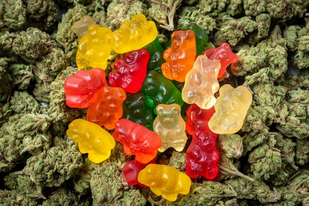 Witness the Intensity of Weed while Eating Edible Gummies