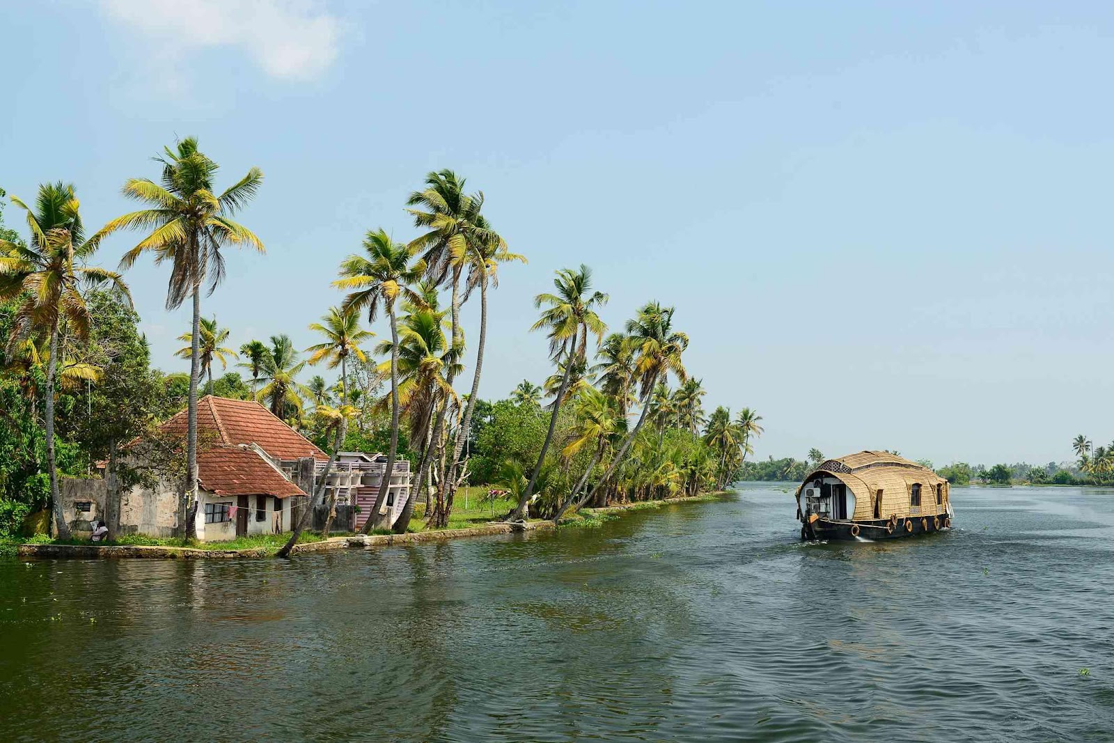 The mesmerizing Charm of the Backwaters!