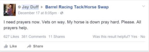 JD DEC 17 HORSE DOWN