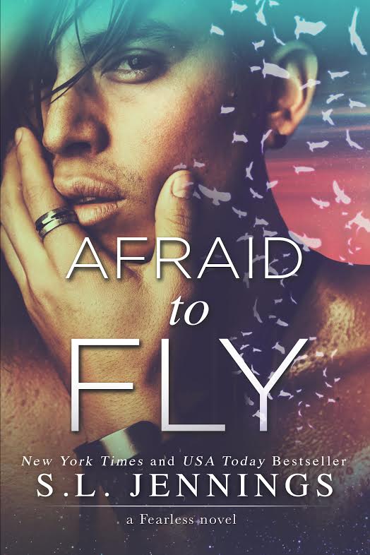 afraid to fly cover.jpg