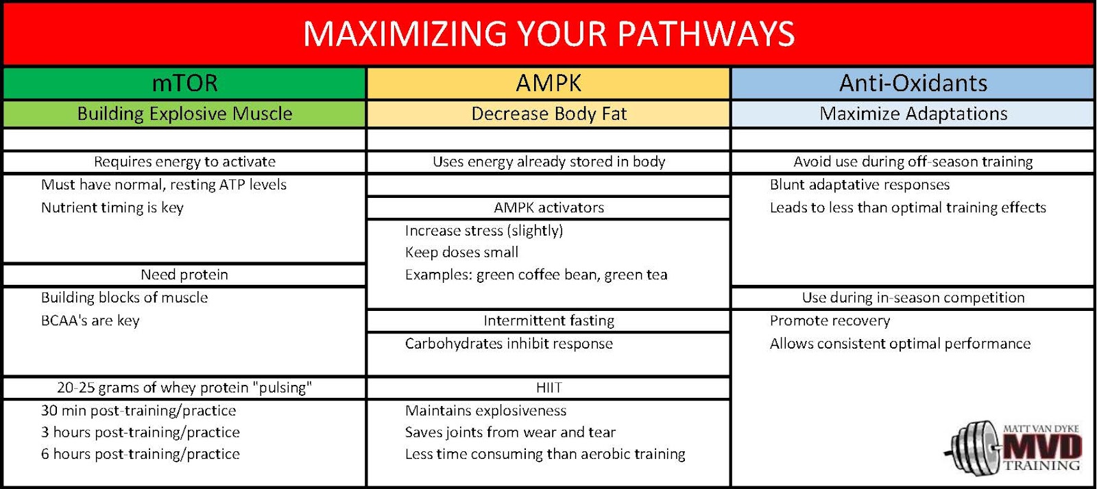 maximizing_your_pathways.jpg maximizing_your_pathways.jpg