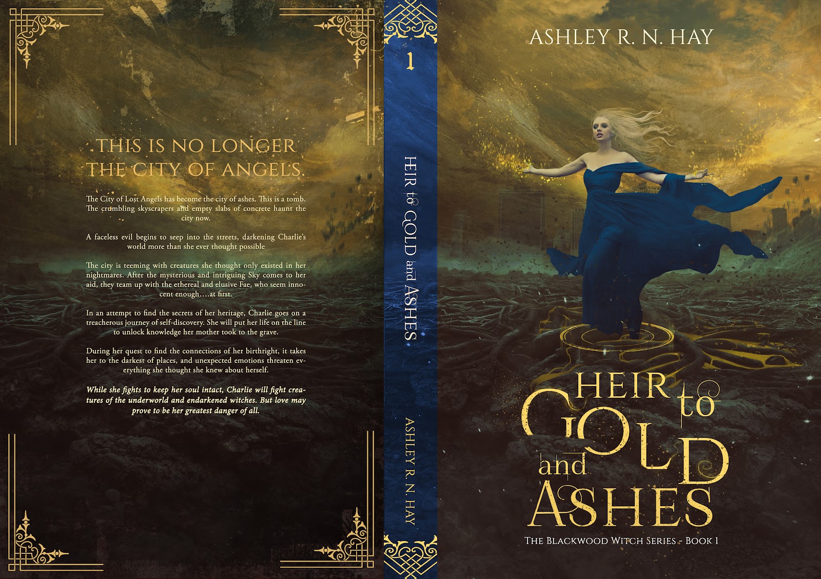 BOOK COVER -HEIR TO GOLD AND ASHES.jpg