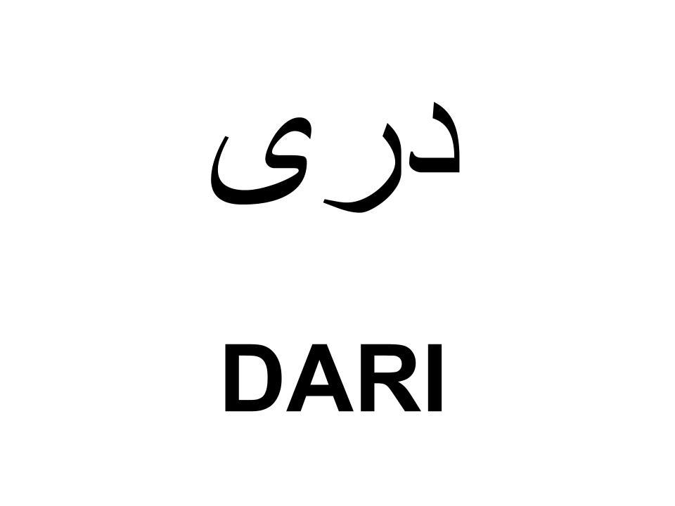 Dari / Persian translation button