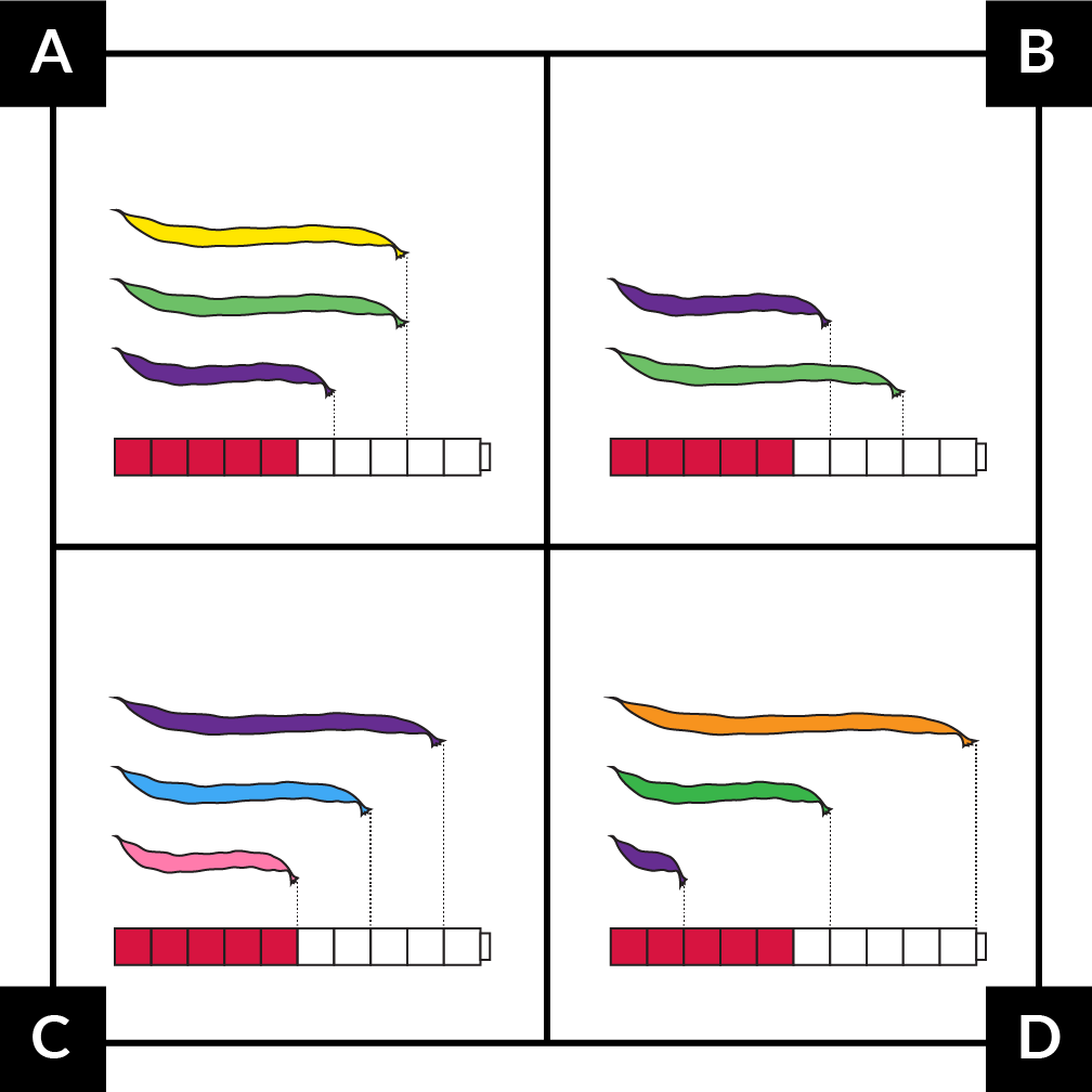 A. shows a yellow bean, 8 cubes long. A green bean, 8 cubes long. And a purple bean, 6 cubes long. B. shows a purple bean, 6 cubes long. And green bean, 8 cubes long. C. shows a  purple bean, 9 cubes long. A blue bean,  7cubes long. And a pink bean, 5 cubes long. D. shows an orange bean, 10 cubes long. A green bean, 6 cubes long. And purple bean, 2 cubes long.