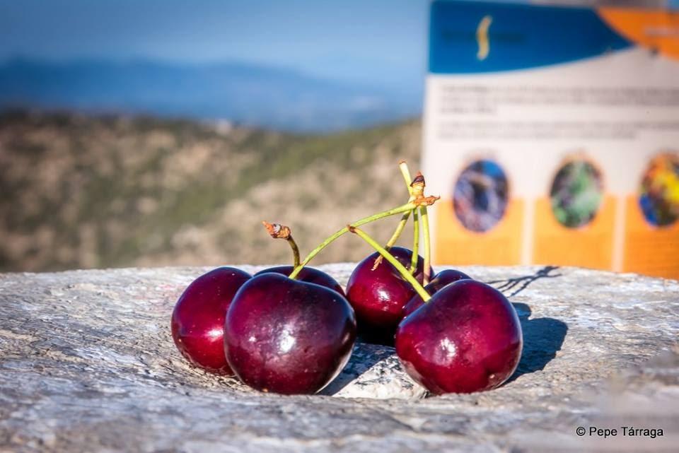 La imagen puede contener: cielo, fruta, exterior, naturaleza y comida