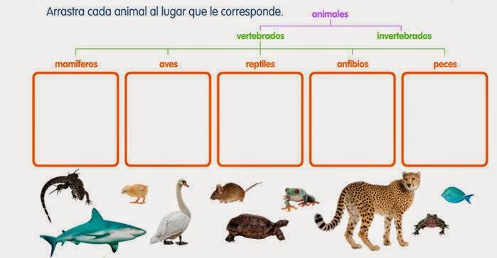 Resultado de imagen para actividades de animales mamíferos para niños