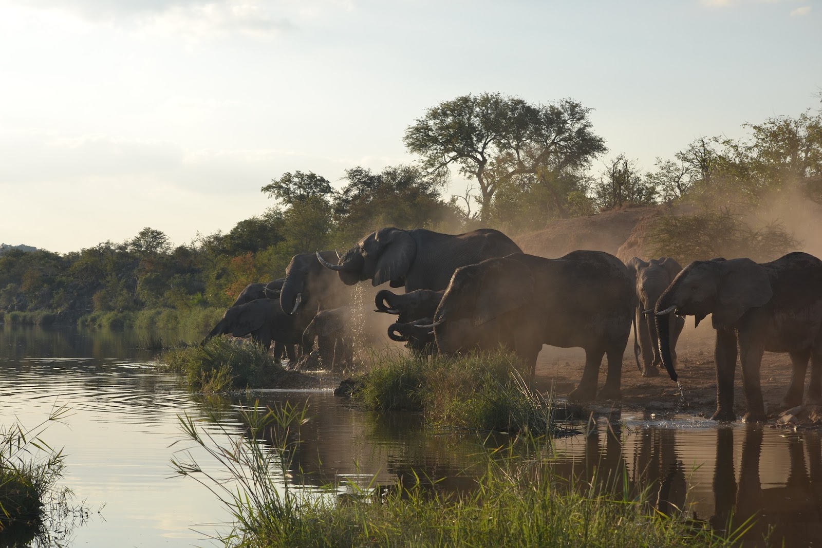 The Best Destinations In Africa For Wildlife