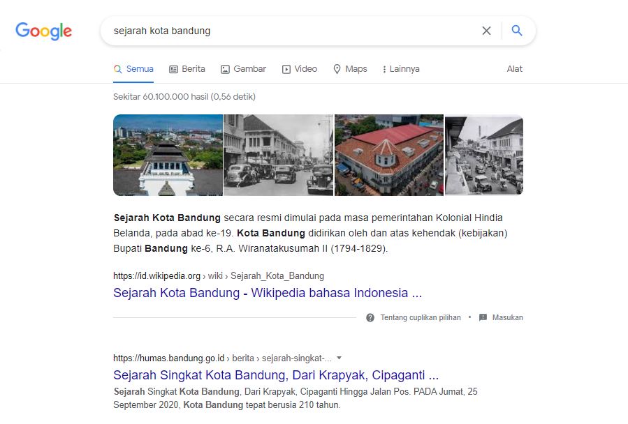 SERP result page