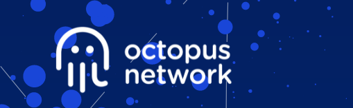 Octopus Network