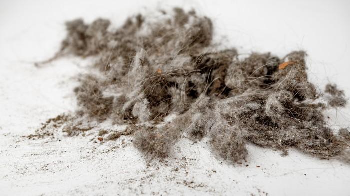 Pile of dust and hair